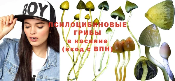 a pvp Нязепетровск