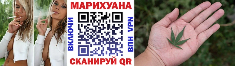 Купить где  Гусев  Шишки марихуана Amnesia 